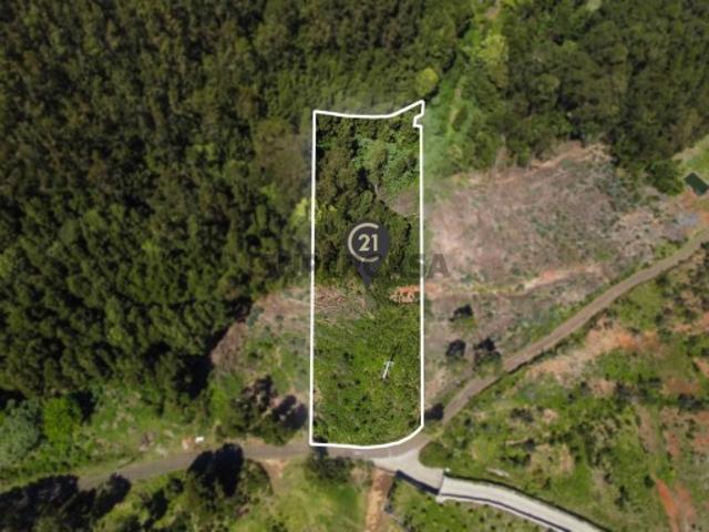 Terreno em Gaula com Vista Mar e Possibilidade de Construção
