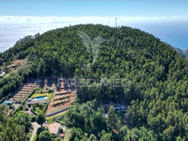 Terreno em Gaula