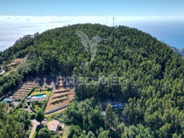 Terreno em Gaula
