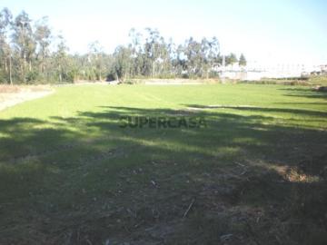 Terreno em Gião