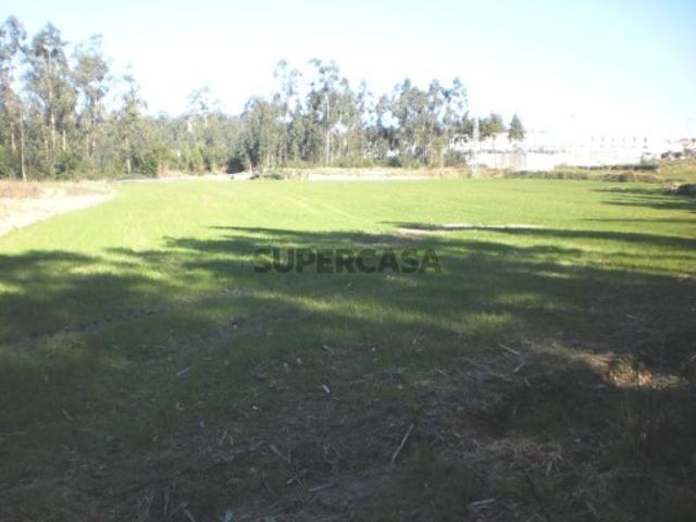 Terreno em Gião