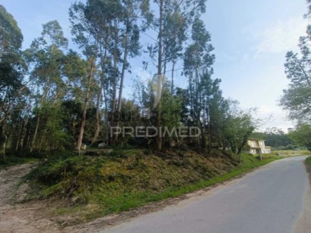 Terreno em Olival