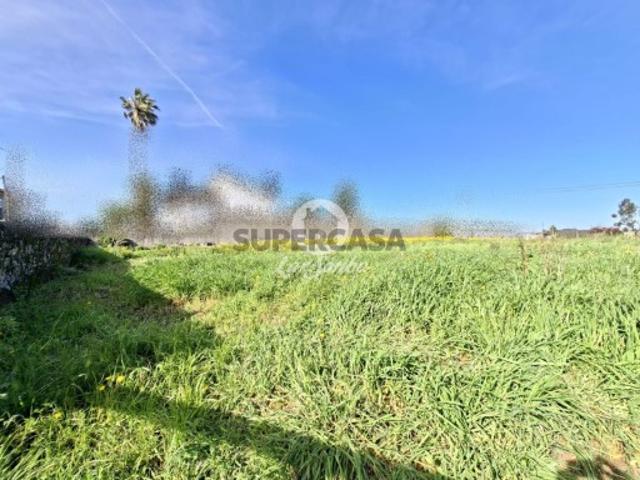 Terreno em Cavalões