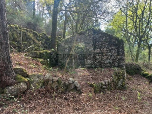 Terreno em Gondoriz