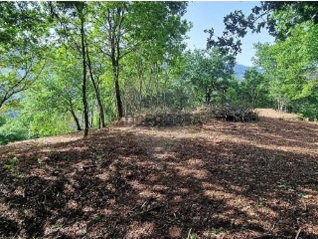 Terreno em Gondoriz