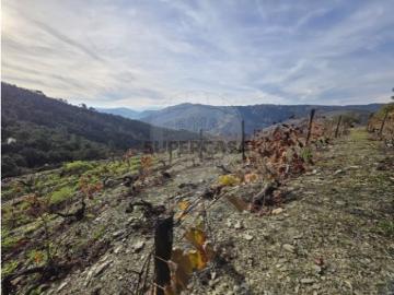 Terreno em Gouvinhas