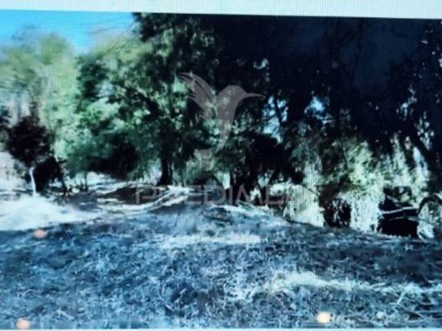 Terreno em Grândola e Santa Margarida da Serra