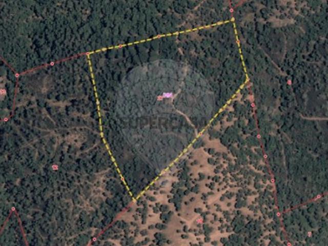 Terreno em Grândola e Santa Margarida da Serra