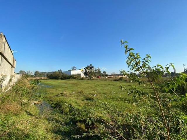 Terreno em Gravataí