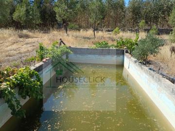 Terreno em Inguias com arrumos e oliveiras