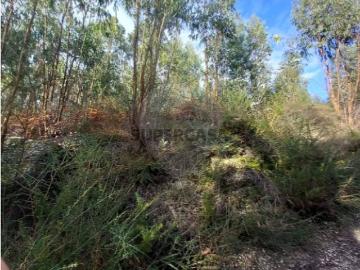 Terreno em Infantas