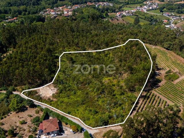 TERRENO EM JUGUEIROS COM 7450m²