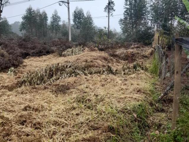 TERRENO EM JUQUITIBA SP