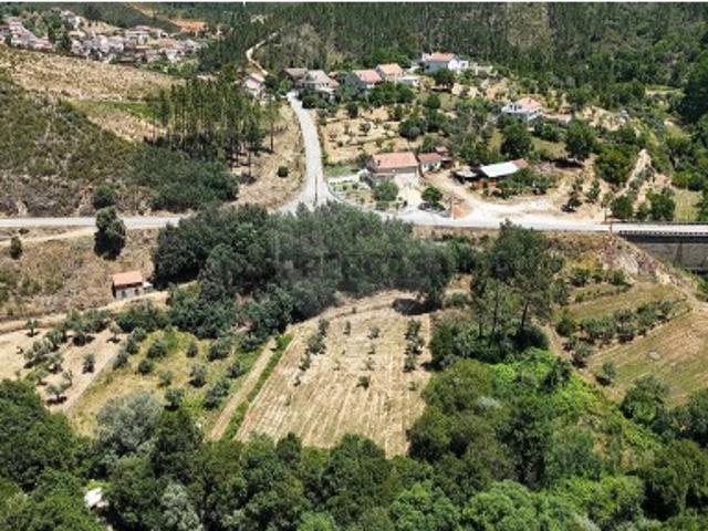 Terreno em Janeiro de Cima e Bogas de Baixo