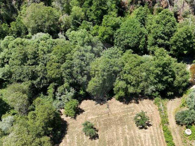 Terreno em Janeiro de Cima e Bogas de Baixo