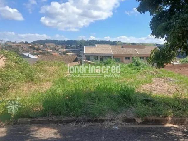 Terreno em Jardim Bela Vista, Assaí/PR de 10m² à venda por R$ 115.000,00