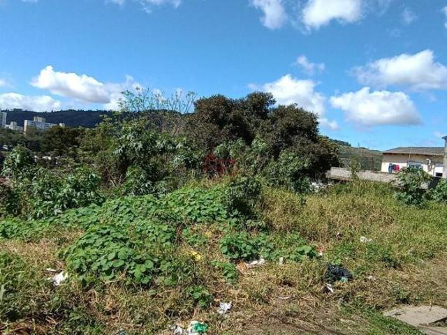 Terreno em Jardim Carvalho, Porto Alegre/RS