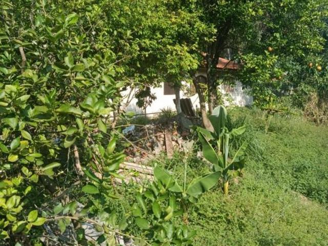 Terreno em Jardim Mangalot, São Paulo/SP de 1244m² à venda por R$ 2.499.999,00
