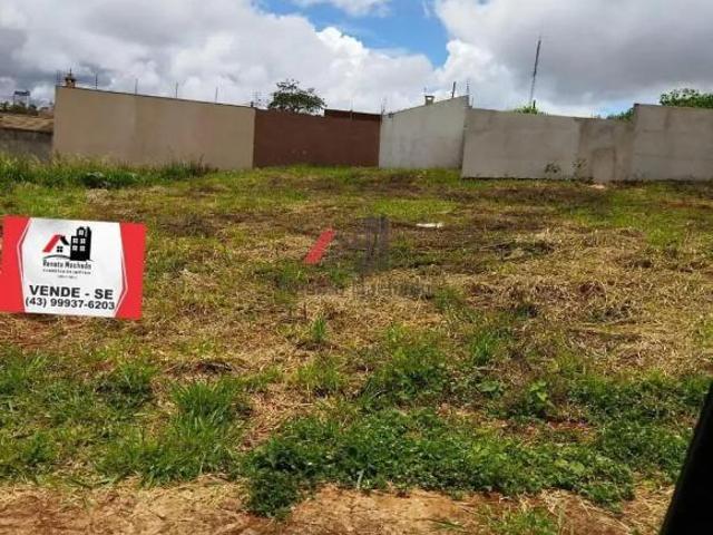 Terreno em Jardim Paulista II, Arapongas/PR de 452m² à venda por R$ 260.000,00