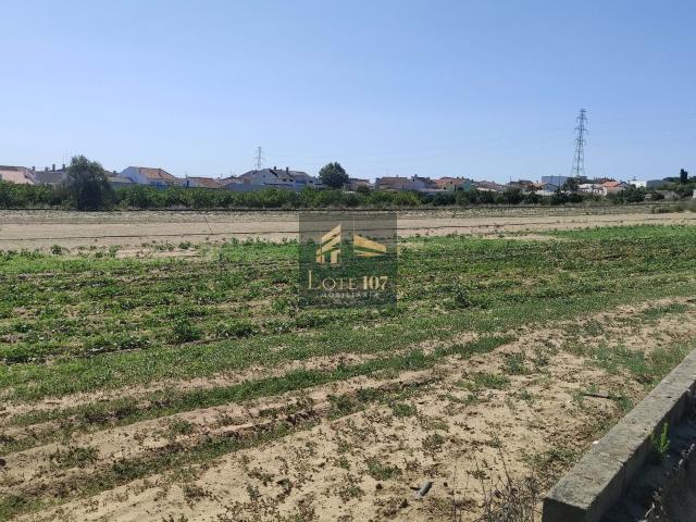 Terreno em Lugar de Camarral, Palmela