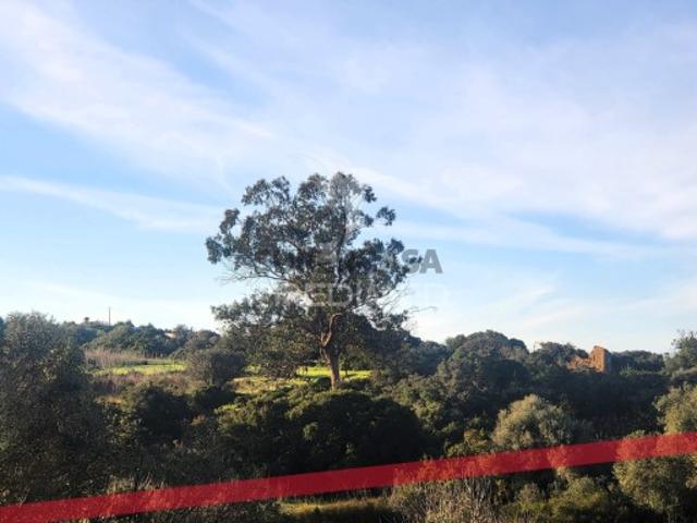 Terreno em Luz