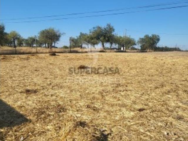 Terreno em Luz