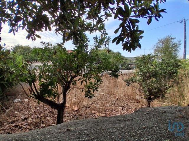 Terreno em Luz de 100,00 m²
