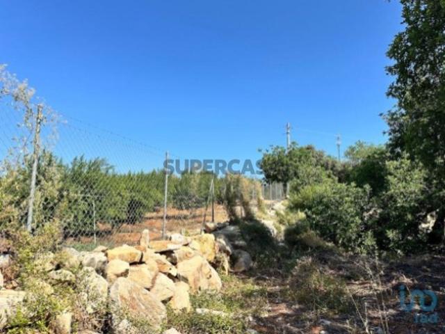 Terreno em Luz de Tavira e Santo Estêvão de 5570,00 m²