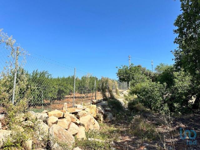 Terreno em Luz de Tavira e Santo Estêvão de 5570,00 m²