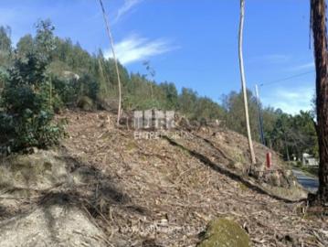 Luzim e Vila Cova, Concelho de Penafiel, Distrito de Porto