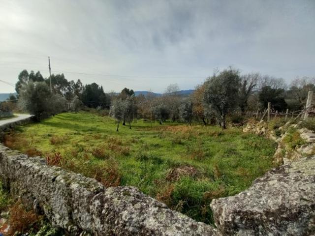 Terreno em Lage/Agra Vila Boa de Quires, Marco de Canaveses