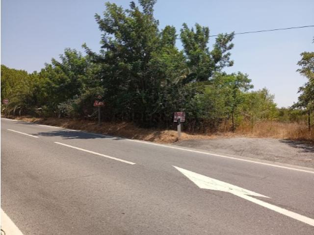 Terreno em Ladoeiro