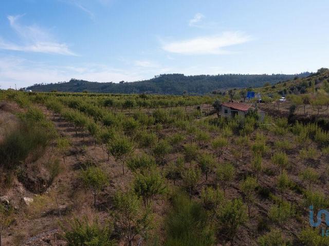 Terreno em Lamas