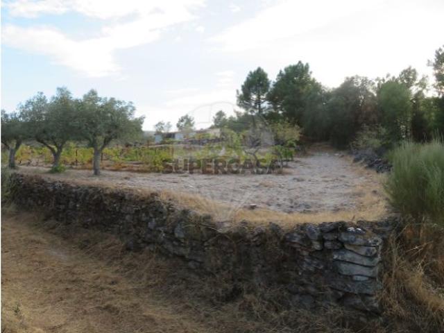 Terreno em Larinho