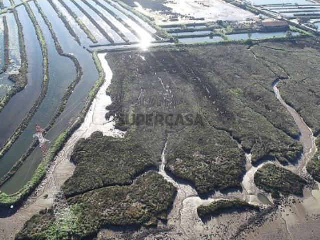 Terreno em Lavos