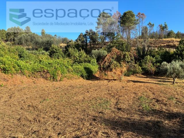 Terreno em Lavacolhos