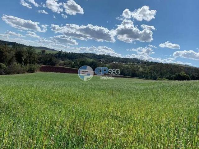 Terreno em Limoeiro, Londrina/PR de 20004m² à venda por R$ 1.000.000,00