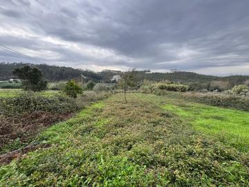 Terreno em localização privilegiada, com ótima exposição solar, na freguesia de Colmeias, Leiria
