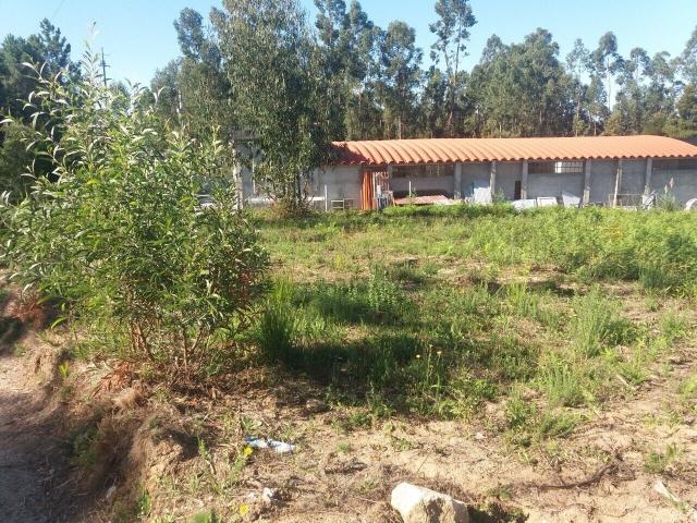 Terreno em Lobão, Santa Maria da Feira