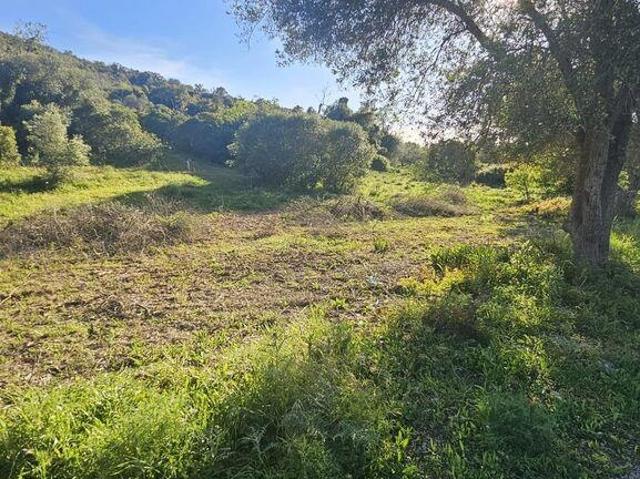 Terreno em Loulé São Clemente