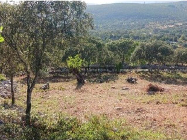 Terreno em Loulé São Sebastião de 3160,00 m²