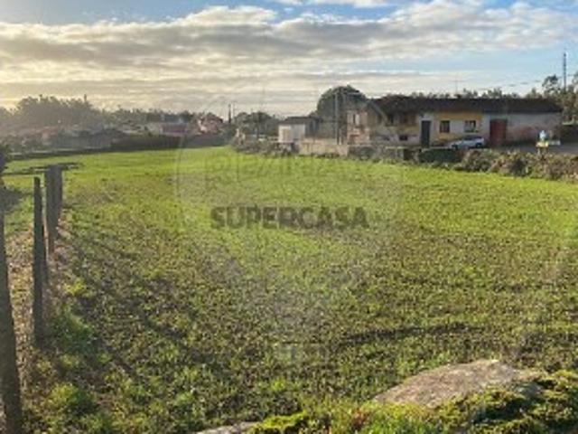 Terreno em Loureiro