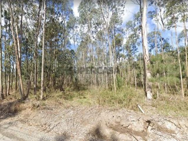 Terreno em Loureiro