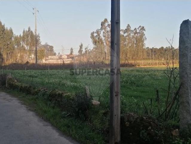 Terreno em Loureiro