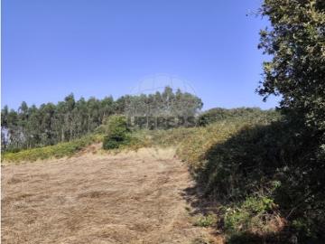 Terreno em Loures