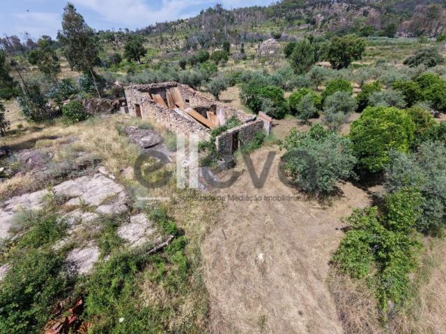 Terreno em Louriçal do Campo c/ ruina