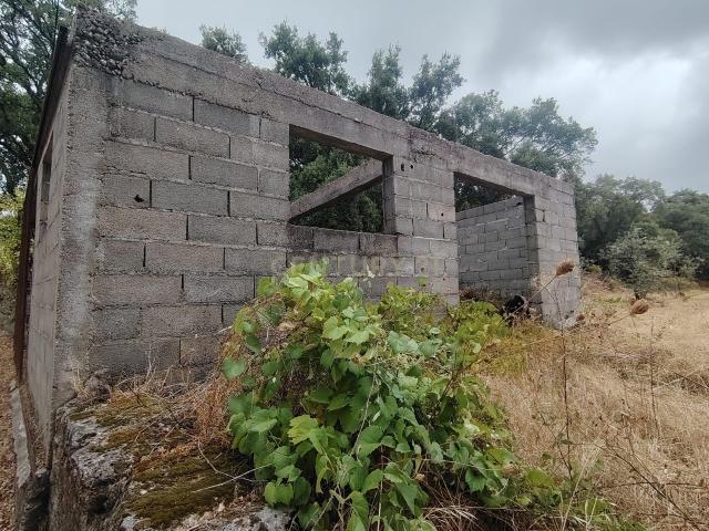 Terreno em Louriçal Do Campo com 4.631 m² — 38.000 €