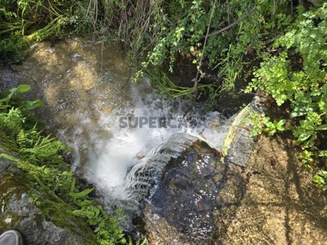 Terreno em Louriçal do Campo