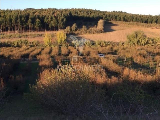 Terreno em Atalaia