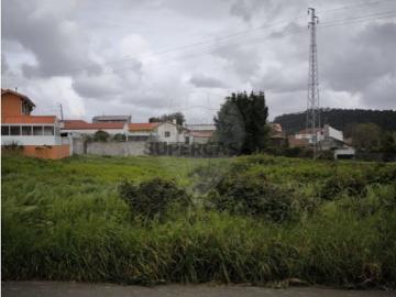 Caldas de São Jorge e Pigeiros